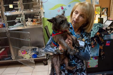 Pensacola animal shelter - Sooty’s Sanctuary is a 501 (c) (3) non-profit company devoted to rescuing and rehoming pets. By providing pets sanctuary, our goal is for the pets to provide …